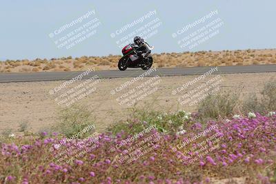 media/Mar-12-2023-SoCal Trackdays (Sun) [[d4c8249724]]/Turn 15 Inside Bloom (130pm)/